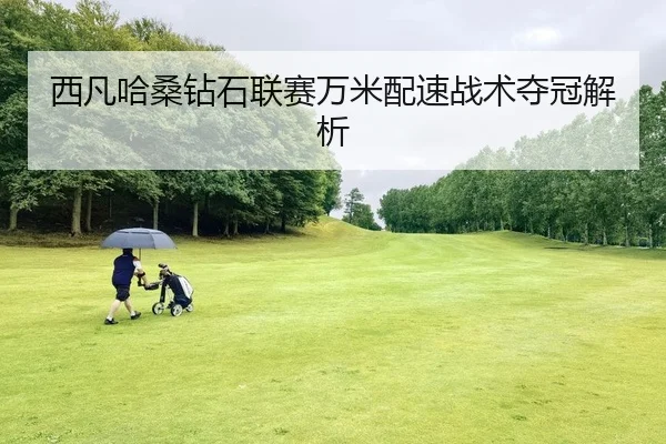 xi-fan-ha-sang-zuan-shi-lian-sai-wan-mi-pei-su-zhan-shu-duo-guan-jie-xi-2-900.jpg